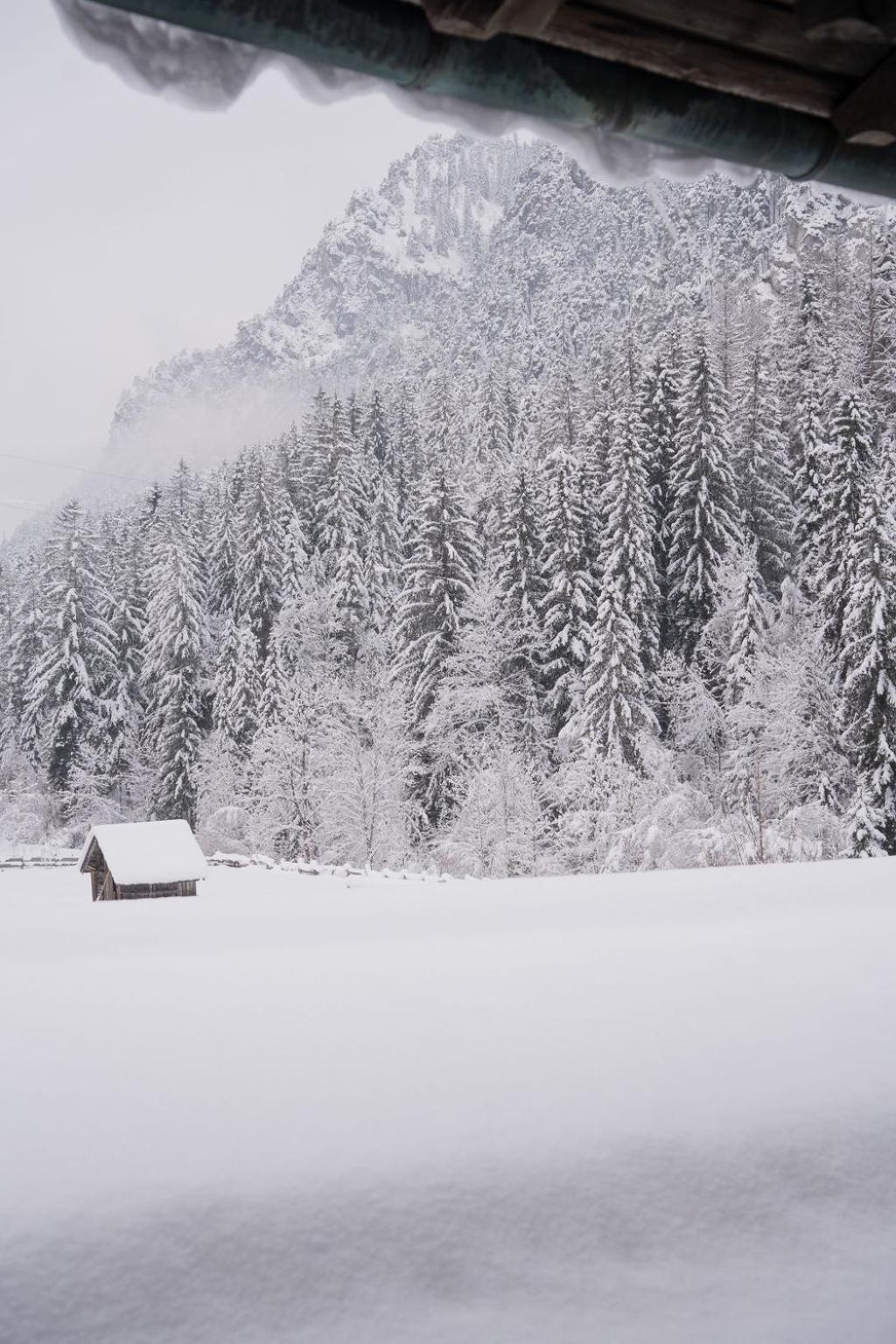 Couette-café Fruehstueckspension Auer - Haus Kargl Schladming